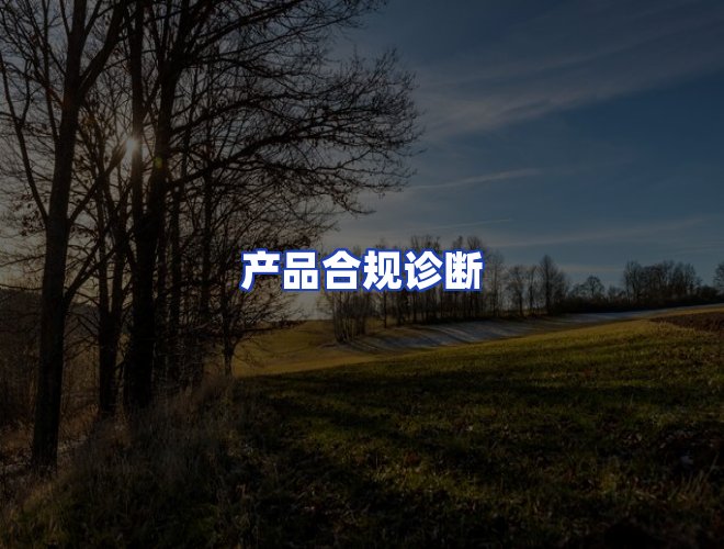 服务优势